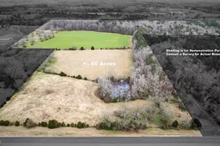 60 97+/- Acres US Hwy 19 S, Meansville, GA 30256 - Photo 1