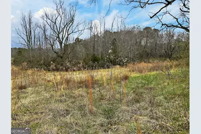 60.97+/- Acres US Hwy 19 S, Meansville, GA 30256 - Photo 21