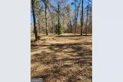 885 Henderson Road, Dublin, GA 31021 - Photo 31