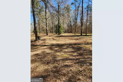 885 Henderson Road, Dublin, GA 31021 - Photo 11