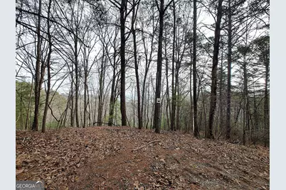 1036 Astro Court NE, Ranger, GA 30734 - Photo 5