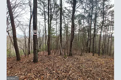 1036 Astro Court NE, Ranger, GA 30734 - Photo 3