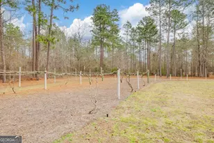 251 192 Hwy N, Twin City, GA 30471 - Photo 67