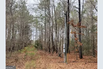 470/510 Ivey Farms Rd, Mcintyre, GA 31054 - Photo 1