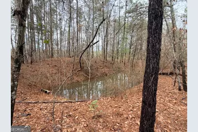 470/510 Ivey Farms Rd, Mcintyre, GA 31054 - Photo 11