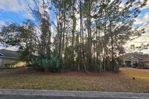 119 Maybird Dr, Kingsland, GA 31548 - Photo 9