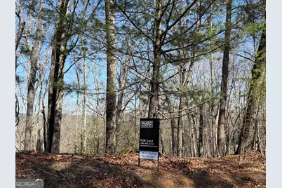 0 Tanager Trail, Alto, GA 30510 - Photo 5