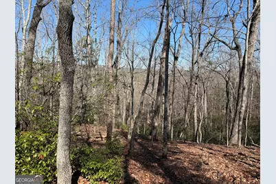 0 Tanager Trail, Alto, GA 30510 - Photo 1