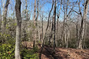 0 Tanager Trail, Alto, GA 30510 - Photo 1