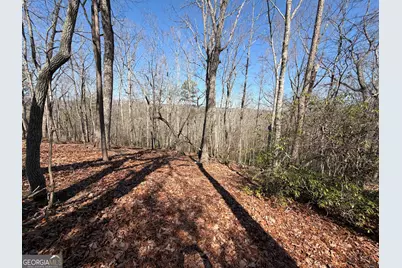 0 Tanager Trail, Alto, GA 30510 - Photo 3