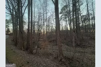 369 Thompson Lane, Jasper, GA 30143 - Photo 3