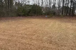 208 Deodar Ln, Hampton, GA 30228 - Photo 29