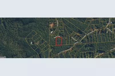 0 Splinter Trail #90, Dawsonville, GA 30534 - Photo 5