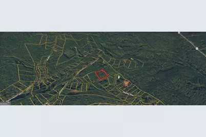 0 Splinter Trail #90, Dawsonville, GA 30534 - Photo 3