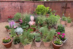 168 Park Avenue, Winder, GA 30680 - Photo 85