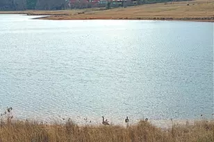 40 Edgewood Ave, Thomaston, GA 30286 - Photo 37