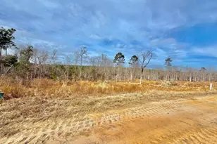 500 Gray's Landing Rd, Uvalda, GA 30473 - Photo 33