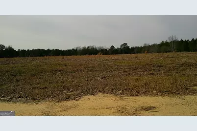 35 Barwick Kea Road, Adrian, GA 31002 - Photo 7