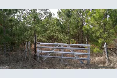 35 Barwick Kea Road, Adrian, GA 31002 - Photo 43