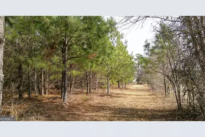 35 Barwick Kea Road, Adrian, GA 31002 - Photo 59