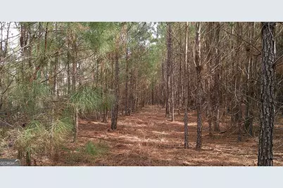 35 Barwick Kea Road, Adrian, GA 31002 - Photo 27