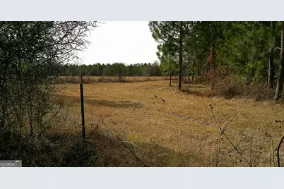 35 Barwick Kea Road, Adrian, GA 31002 - Photo 61