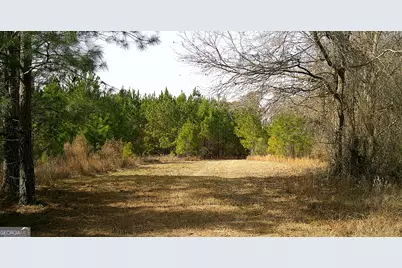 35 Barwick Kea Road, Adrian, GA 31002 - Photo 57