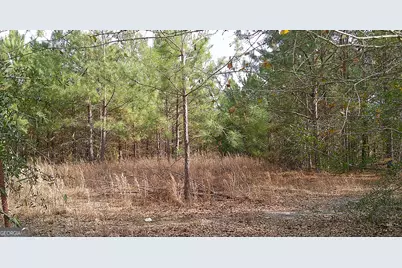 35 Barwick Kea Road, Adrian, GA 31002 - Photo 31