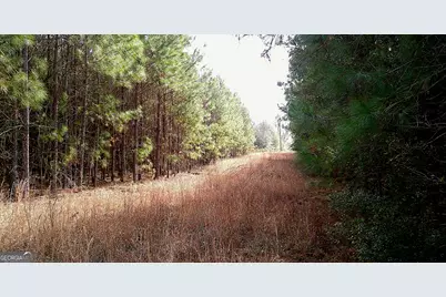 35 Barwick Kea Road, Adrian, GA 31002 - Photo 29