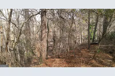 35 Barwick Kea Road, Adrian, GA 31002 - Photo 25