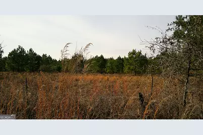 35 Barwick Kea Road, Adrian, GA 31002 - Photo 33