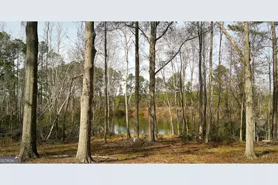 35 Barwick Kea Road, Adrian, GA 31002 - Photo 55