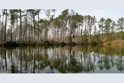 35 Barwick Kea Road, Adrian, GA 31002 - Photo 53