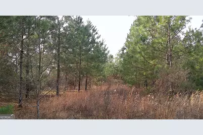 35 Barwick Kea Road, Adrian, GA 31002 - Photo 19