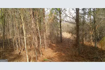 35 Barwick Kea Road, Adrian, GA 31002 - Photo 21