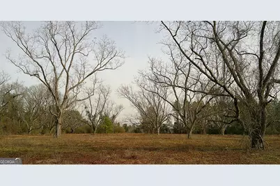 35 Barwick Kea Road, Adrian, GA 31002 - Photo 17