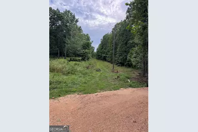 0 Tatum Gulf Road, Menlo, GA 30731 - Photo 1