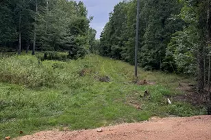 0 Tatum Gulf Rd, Menlo, GA 30731 - Photo 1