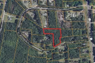 0 Lewis Ln, Townsend, GA 31331 - Photo 1