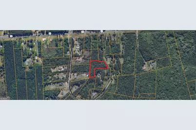 0 Lewis Lane #1, Townsend, GA 31331 - Photo 3