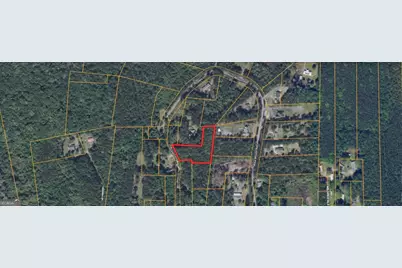 0 Lewis Lane #1, Townsend, GA 31331 - Photo 5