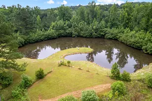 854 Lee Ln, Greenville, GA 30222 - Photo 3