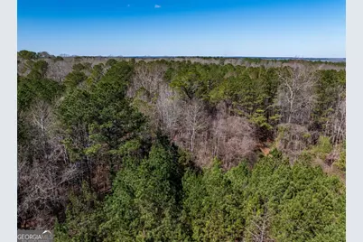 0 Hines Road #TRACT A, Lagrange, GA 30240 - Photo 5