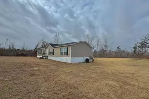 448 Archie Miller Rd, Denton, GA 31532 - Photo 3
