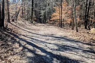 161 Hancock Rd, Williamson, GA 30292 - Photo 39