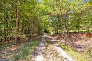 807 Satterfield Rd, Cleveland, GA 30528 - Photo 89