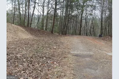 807 Satterfield Road, Cleveland, GA 30528 - Photo 97