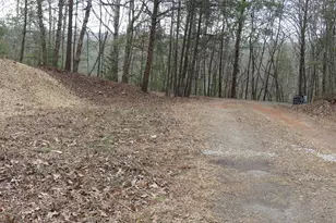 807 Satterfield Rd, Cleveland, GA 30528 - Photo 97