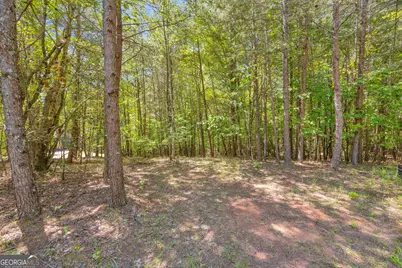 807 Satterfield Road, Cleveland, GA 30528 - Photo 87