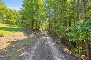 807 Satterfield Rd, Cleveland, GA 30528 - Photo 85